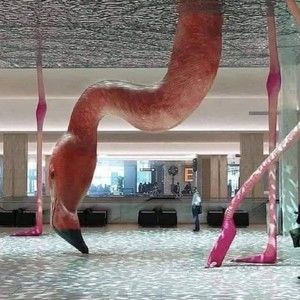 Meet your Posher, Heidi